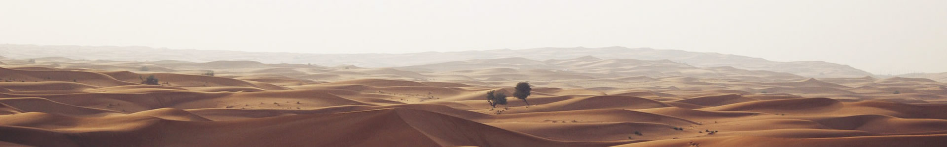 ݸҼżƼ޹˾
